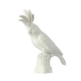 Cockatoo POLSPOTTEN White