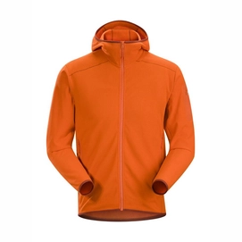 Fleece Arc'teryx Men Delta LT Hoody Trail Blaze