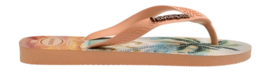 3---4149722_0027_C