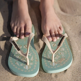 7---4149722-COAST_GREEN_STYLE