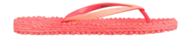 3---CHEERFUL01_396_3
