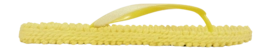 2---CHEERFUL01_807_2