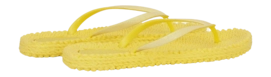 4---CHEERFUL01_807_3