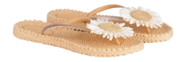 Slipper Ilse Jacobsen Women CHEERFUL16F Beige
