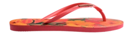 4---4122111_9260_C