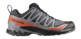 Trailrunningschuhe Salomon XA Pro 3D V9 GTX Herren Turbulence / Black / Burnt Ochre