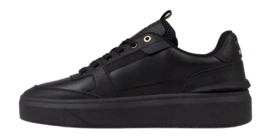2---CC253040-998_Endorsed_Tennis-2