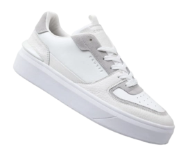 6---CC243241-100_Surefire_Tennis-7