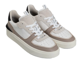 CC251140-157_Surefire-Tennis-4