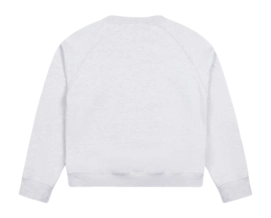 2---Grey _F_ck Off I'm Gardening_ Raglan Crewneck_Back copy