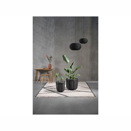 24085_env_2102_10