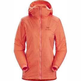 Jacket Arc'teryx Women Atom LT Hoody Sugar Rush