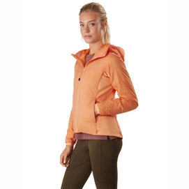 Jacke Arc'teryx Atom LT Hoody Neoflora Damen