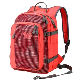 Rucksack Jack Wolfskin Berkeley S Coral Paw