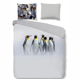 2563-F. JORDY, grey-3D(s)