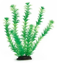 Aquariumplant Beeztees Plastic Echinodorus