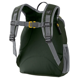 Rugzak Jack Wolfskin Kids Little Joe Cypress Green