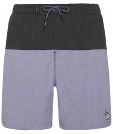 Beachshort Protest Men Boydin True Black