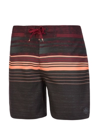 Beachshort Protest Men Powell 19 Thyme
