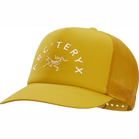 Cap Arc'teryx Trucker Curved Pipe Dream