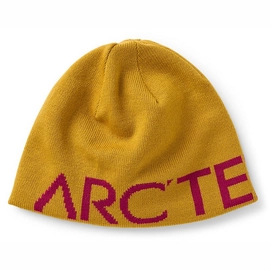 Mütze Arc'teryx Unisex Word Head Toque Retreat/Synth