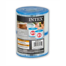 Filtre Intex Spa Filters (2 pièces)