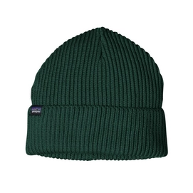 Mütze Patagonia Fishermans Rolled Beanie Piki Green Unisex