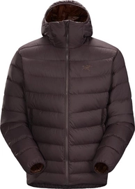 Jas Arc'teryx Men Thorium AR Hoody Figment