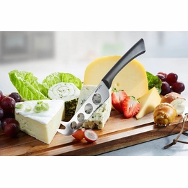 3---13850_cheese knife_Ambiente