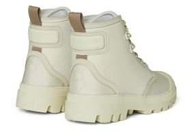 3---22570_fossil_3 (1)