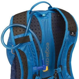 Rugzak Eagle Creek Asap Pack RFID Grape