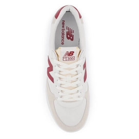 3---CT300V3 CT300WR3 Alternate 2