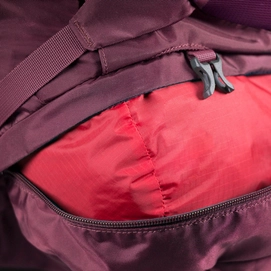Osprey kyte 36 shop purple calla