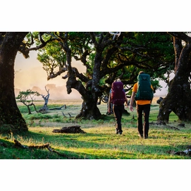 Backpack Osprey Rook 65 Mallard Green