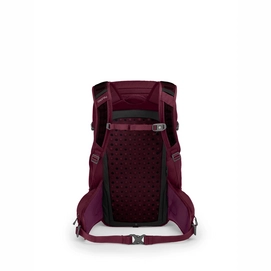 Rugzak Osprey Skimmer 28 Plum Red