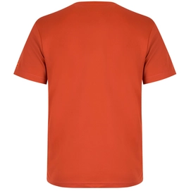 T-Shirt Regatta Mens Fingal II Burnt Tikka