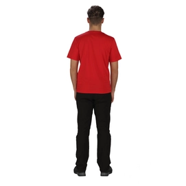 T-Shirt Regatta Mens Fingal II Pepper