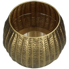 3---XET-7317-2