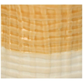 3---XET-7901-2
