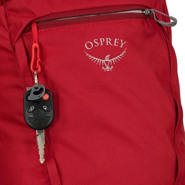3---_0142_daylitecinch_s21_detail1_cosmicred