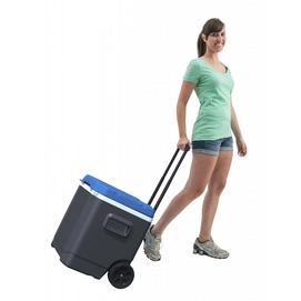 Koelbox Igloo Transformer 60 Roller