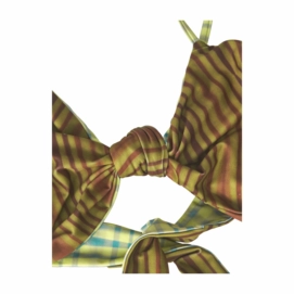 3---aHR0cHM6Ly9vYXMuY2VudHJhY2RuLm5ldC9jbGllbnQvZHluYW1pYy9pbWFnZXMvODE4XzU4ODFkZDJkMTMtdHJlZS1saW5lcy1vbmRhLWJpa2luaS10b3AtNi1vcmlnaW5hbC5qcGc=-_no-bg