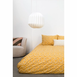 3---Daisy_2persoons_sunset_yellow_rgb-3559