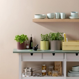 3---pt01_pflanztoepfe_3er_set_siena_sg11_bowl_ola_sg12_teller_s_sg14_teller_l_sg13_teller_m_sg10_tasse_ola_ambiente_01_2023_pim_1_2a2a6d80_1000x1000