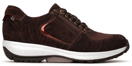 Sneaker Xsensible Stretchwalker Women Chelsea Brown