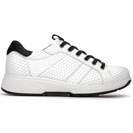 Sneaker Xsensible Stretchwalker Women Toulouse White