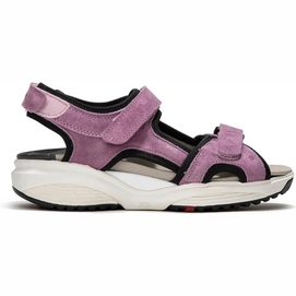 Sandale Xsensible Nikiti Damen Lilac-Schuhgröße 42