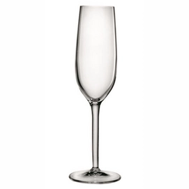 Champagne Glass Luigi Bormioli Rubino 210 ml (6 pc)