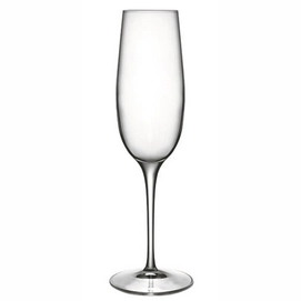 Champagne Glass Luigi Bormioli Palace 235 ml (6 pc)