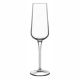 Champagneglas Luigi Bormioli Intenso 240 ml (6-Delig)